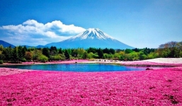 Du lịch Nhật Bản tháng 6 có gì hay ?